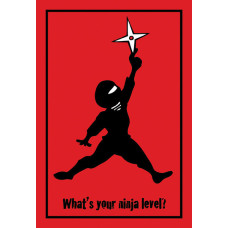 5" x 8" Flight Ninja Sticker 5" x 8" Flight Ninja Sticker